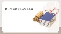 初中人教版（2024）呼吸道对空气的处理多媒体教学课件ppt