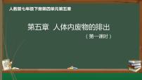 初中人教版（2024）人体内废物的排出集体备课ppt课件