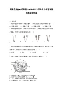 河南省焦作市武陟县2024-2025学年七年级下学期期末生物试题