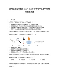 河南省洛阳市嵩县2024-2025学年七年级上学期期末生物试题