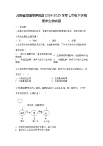 河南省洛阳市伊川县2024-2025学年七年级下学期期末生物试题