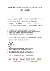 河南省漯河市舞阳县2024-2025学年七年级上学期期末生物试题