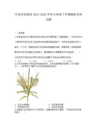 河南省南阳市2024-2025学年七年级下学期期末生物试题