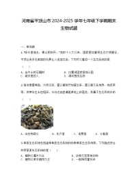 河南省平顶山市2024-2025学年七年级下学期期末生物试题