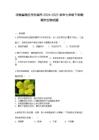 河南省商丘市永城市2024-2025学年七年级下学期期末生物试题