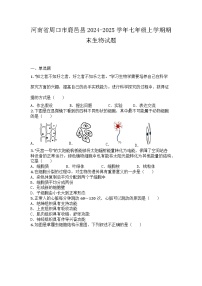 河南省周口市鹿邑县2024-2025学年七年级上学期期末生物试题