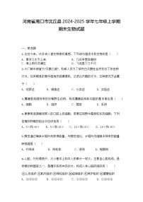 河南省周口市沈丘县2024-2025学年七年级上学期期末生物试题