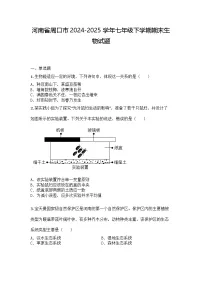 河南省周口市2024-2025学年七年级下学期期末生物试题