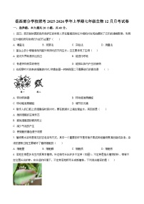 安徽省安庆市岳西县五校联考2025-2026学年七年级上学期12月月考生物试题