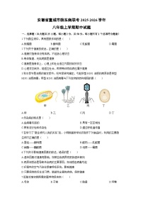 2025-2026学年安徽省宣城市皖东南联考八年级上学期期中生物试卷（学生版）