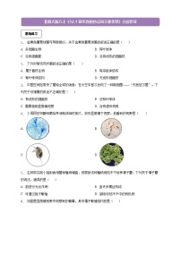 初中生物北师大版（2024）八年级上册（2024）微生物的特点和主要类型优秀课堂检测