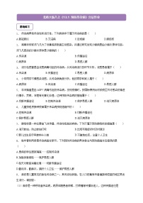 初中生物北师大版（2024）八年级上册（2024）预防传染病精品课后复习题