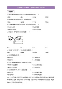 初中生物北师大版（2024）八年级上册（2024）人的生殖和发育精品当堂检测题