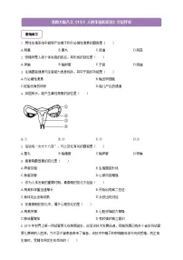 初中生物北师大版（2024）八年级上册（2024）人的生殖和发育精品当堂检测题