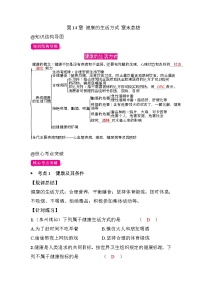 初中生物北师大版（2024）八年级上册（2024）健康的生活方式精品巩固练习