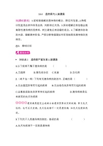 生物八年级上册（2024）遗传病与人类健康精品课后练习题