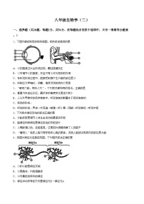 天津市河西区2025__2026学年八年级上学期1月期末生物试题(文字版含答案)