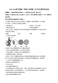 广东省揭阳市揭东区2025_2026学年八年级上学期第一次月考生物学试题(文字版含答案)