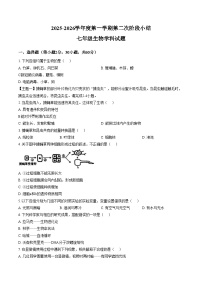 广东省揭阳市揭东区2025_2026学年七年级上学期第二次月考生物学试题(文字版含答案)