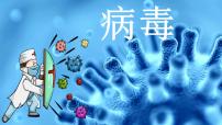 人教版（2024）七年级上册（2024）病毒课文ppt课件