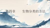 生物人教版（2024）尝试对生物进行分类评课ppt课件