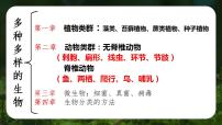 人教版七上生物期末复习课件