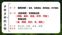 人教版七上生物期末复习课件