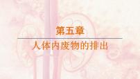 生物人教版（2024）人体内废物的排出教学课件ppt