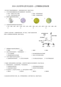 2024~2025学年北京丰台区初一上学期期末生物试卷（有答案解析）