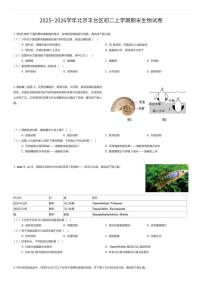 2025~2026学年北京丰台区初二上学期期末生物试卷（有答案解析）