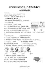 陕西省渭南市华阴市2025-2026学年八年级上学期1月期末生物试题