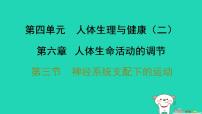 人教版（2024）第三节 神经系统支配下的运动习题ppt课件