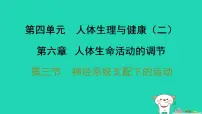 人教版（2024）第三节 神经系统支配下的运动习题ppt课件