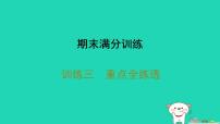2025八年级生物上册期末训练三重点全练透习题课件新版新人教版（含答案）
