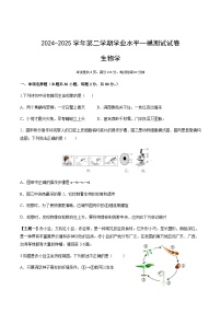 广东省中山市中山纪念中学2024-2025学年八年级下学期中考一模生物试卷（含答案）