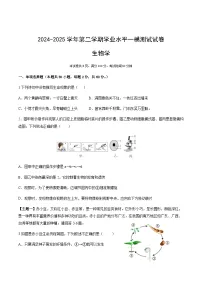 广东省中山市中山纪念中学2024-2025学年八年级下学期中考一模生物试卷（含答案）