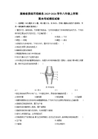 2025-2026学年湖南省娄底市双峰县八年级上学期期末模拟生物试卷（学生版）