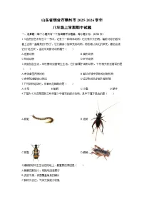 2025-2026学年山东省烟台市莱州市八年级上学期期中生物试卷(学生版)