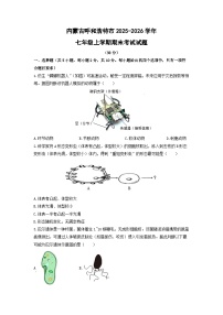 2025-2026学年内蒙古呼和浩特市七年级上学期期末考试生物试卷（学生版）