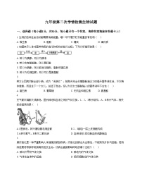 山东省菏泽市郓城县2025_2026学年九年级上学期12月月考生物试题（文字版，含答案）
