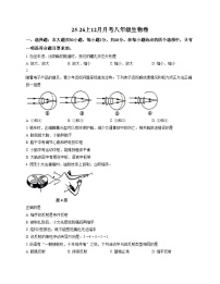 广东省江门市蓬江区培英初级中学2025_2026学年七年级上学期12月月考生物试题 （文字版，含答案）