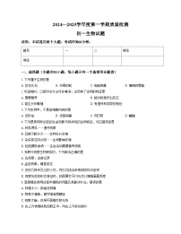 广东省肇庆市第一中学2024_2025学年七年级上学期期末生物试题（文字版，含答案）