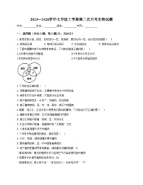 山东省聊城市阳谷县实验中学2025_2026学年七年级上学期12月月考生物试题（文字版，含答案）