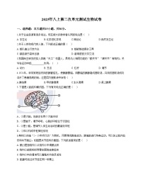 山东省德州市德城区第九中学2025_2026学年八年级上学期第二次月考生物试题（文字版，含答案）