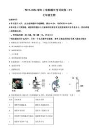 2025-2026学年河南省漯河市舞阳县七年级上学期期中生物试题（有答案）