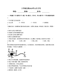 湖南省郴州市第三中学2025_2026学年八年级上学期12月月考生物试卷（文字版，含答案）