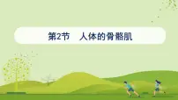 初中生物人体的骨骼肌教学课件ppt