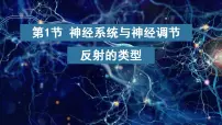 北师大版（2024）七年级下册（2024）人体的自我调节教课内容ppt课件