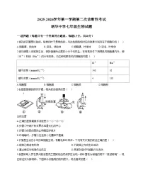 山东省青岛市胶州市瑞华实验初级中学2025_2026学年七年级上学期12月月考生物试题(文字版含答案)