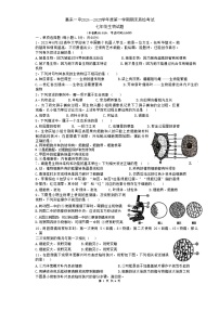 广东省揭阳市惠来县第一中学2024-2025学年七年级上学期1月期末生物试题-A4